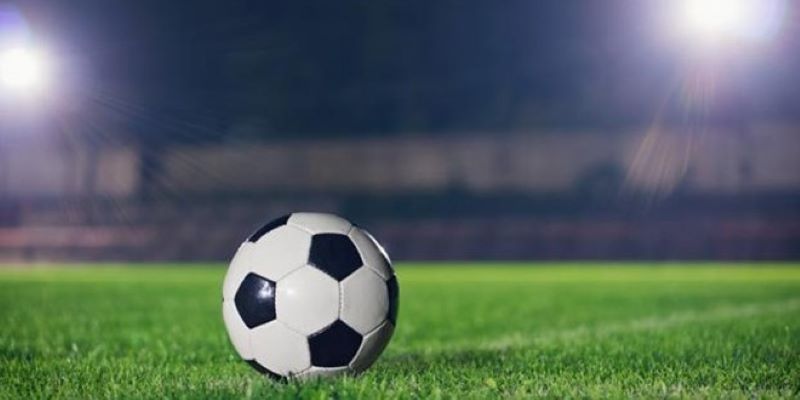 Cần chú trọng đến các yếu tố ngoại cảnh để tránh mất mát